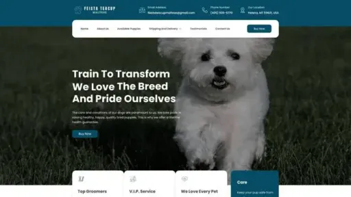 Screenshot of