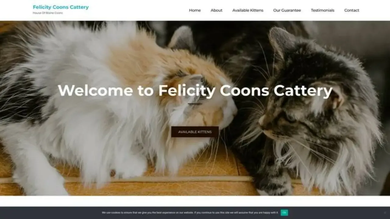 Felicitycoonscattery