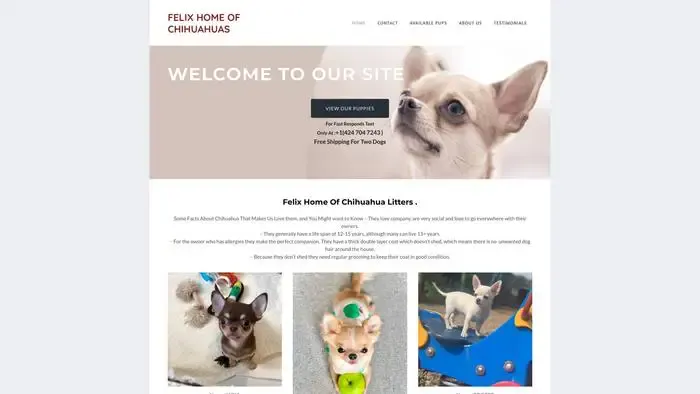 Screenshot of