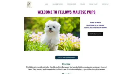 Screenshot of||