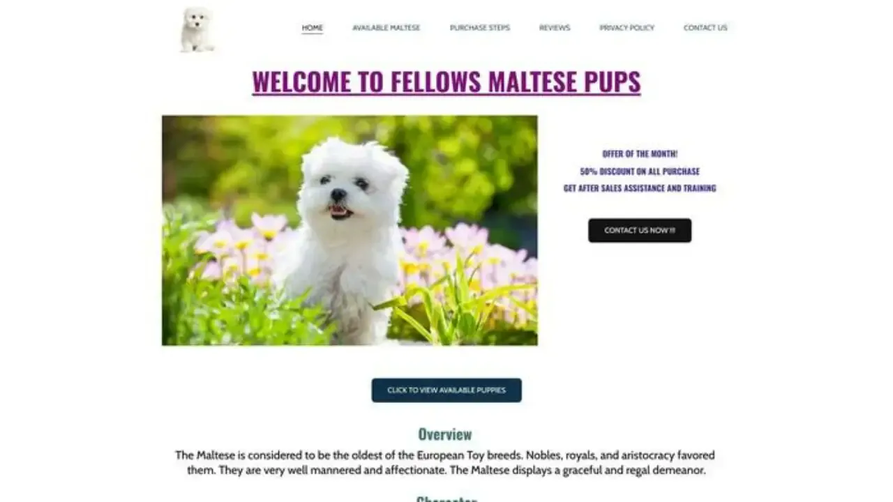Fellowesmaltesepupps