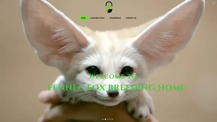 Screenshot of