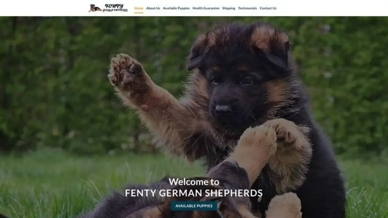 Fentygermanshepherds