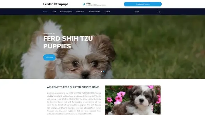 Screenshot of