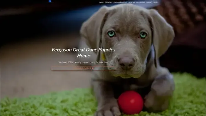 Screenshot of