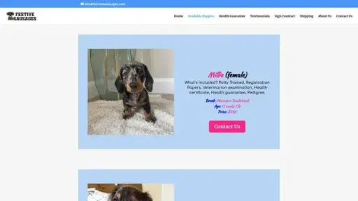 Screenshot of