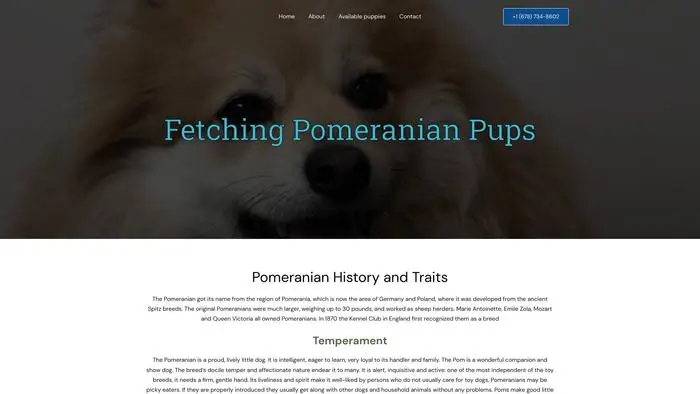 Screenshot of
