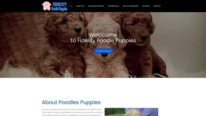 Screenshot of
