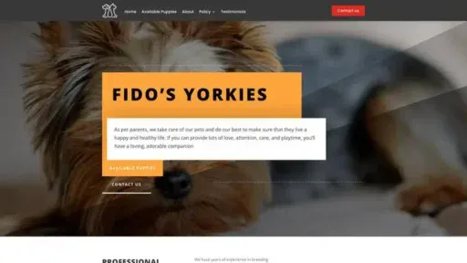 Screenshot of