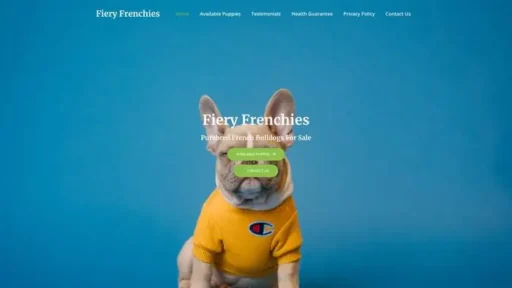 Screenshot of