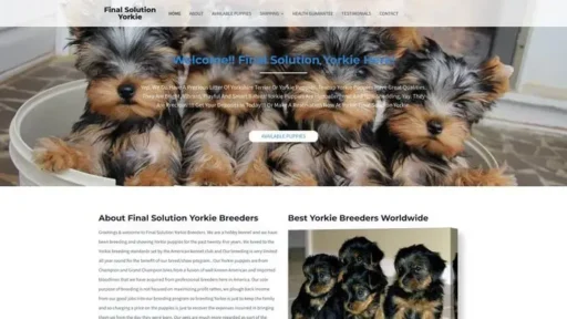 Screenshot of