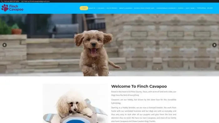 Screenshot of