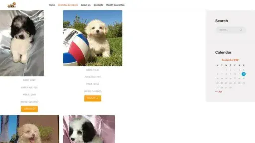 Screenshot of