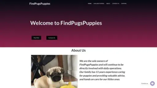 Screenshot of