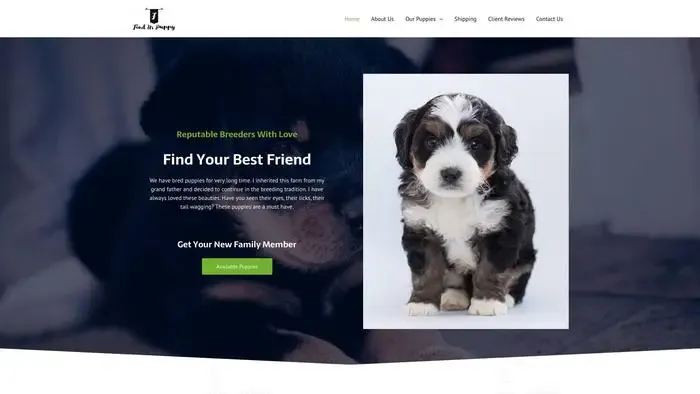 Screenshot of