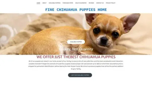 Screenshot of