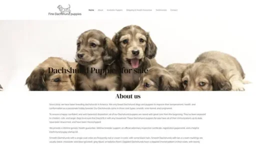 Screenshot of