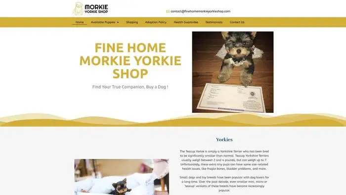 Screenshot of