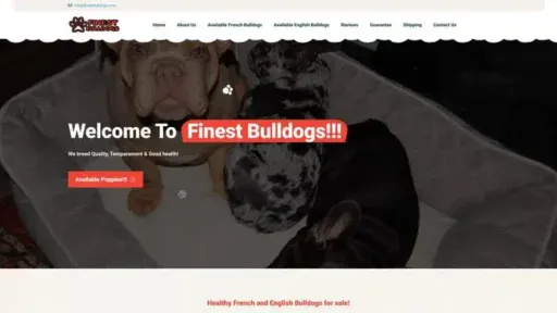 Screenshot of