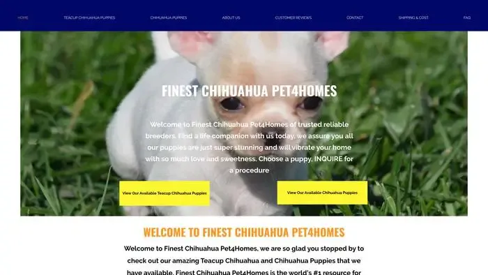 Screenshot of