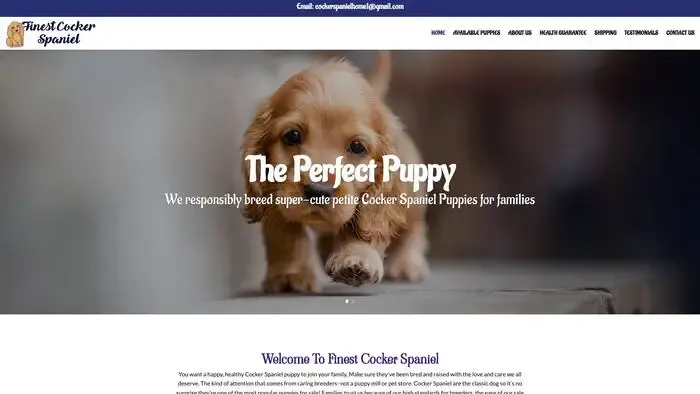 Screenshot of
