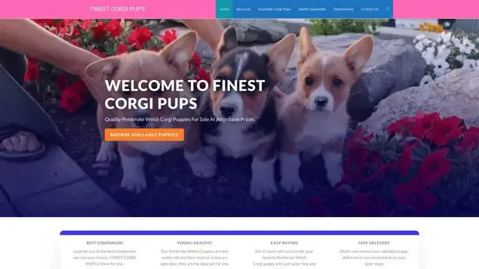 Screenshot of