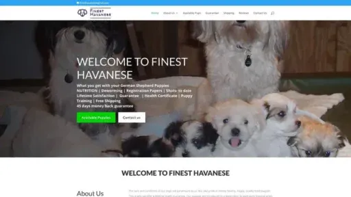 Screenshot of
