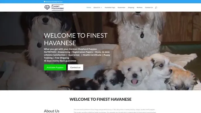 Screenshot of