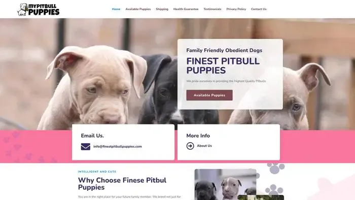 Screenshot of