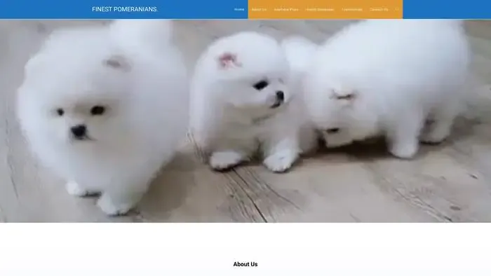 Screenshot of