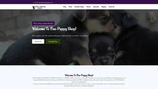 Screenshot of