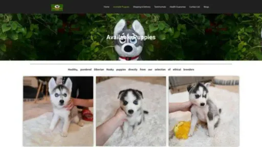 Screenshot of||