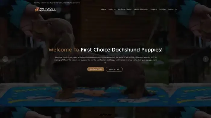 Screenshot of