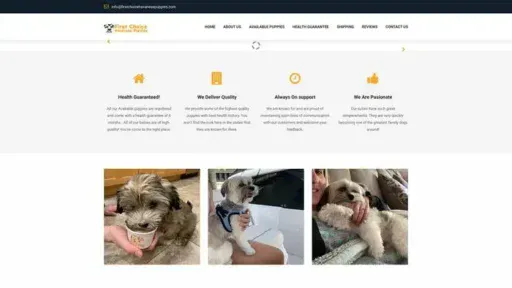 Screenshot of