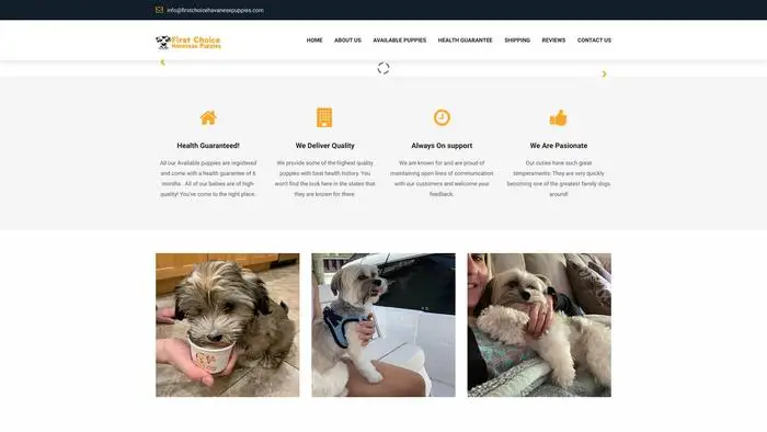Screenshot of