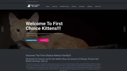 Screenshot of