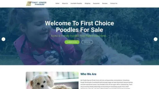 Screenshot of