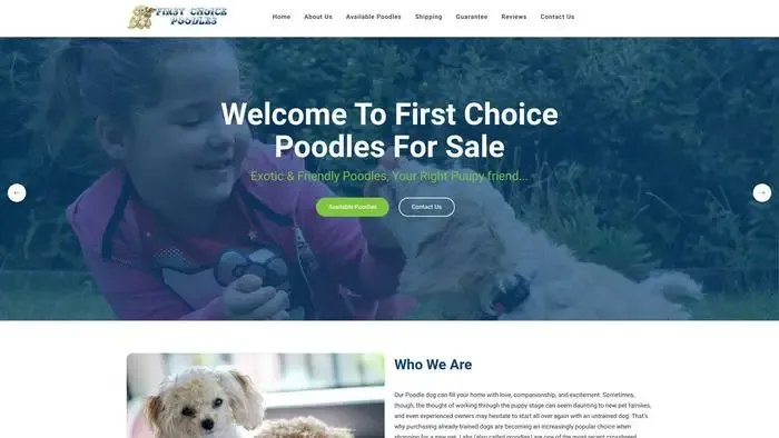 Screenshot of