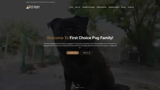 Screenshot of