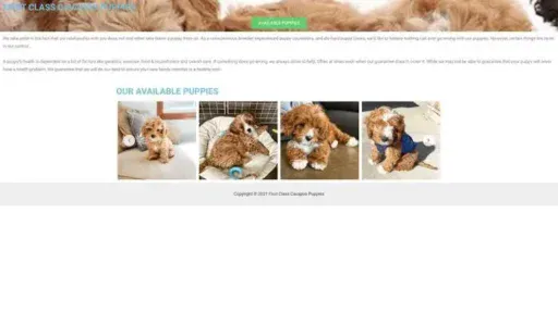 Screenshot of