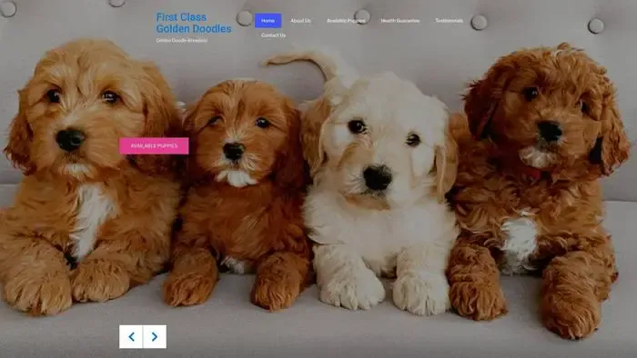 Screenshot of
