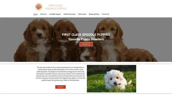 Screenshot of