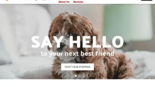 Screenshot of