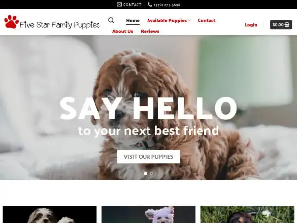 Screenshot of