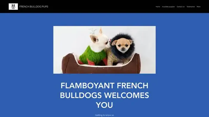 Screenshot of