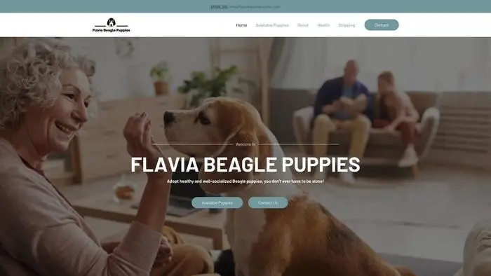 Screenshot of