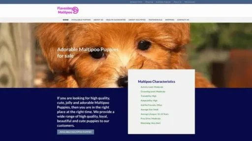 Screenshot of