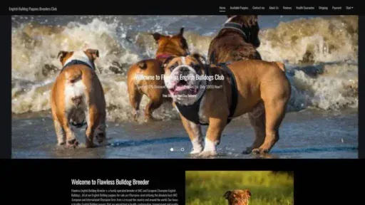 Screenshot of