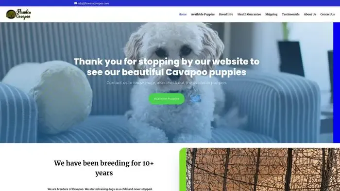 Screenshot of