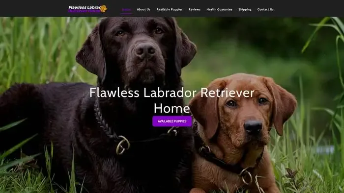Screenshot of